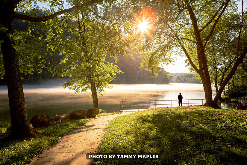 Summer Lake by Tammy Maples