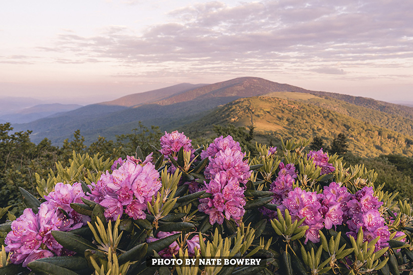 Spring Mountain by Nate Bowery