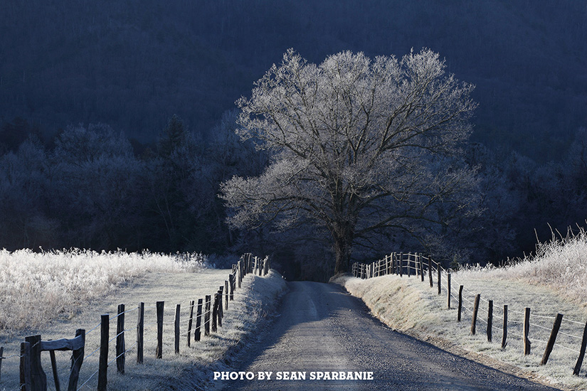 Cades Cove by Sean Sparbanie